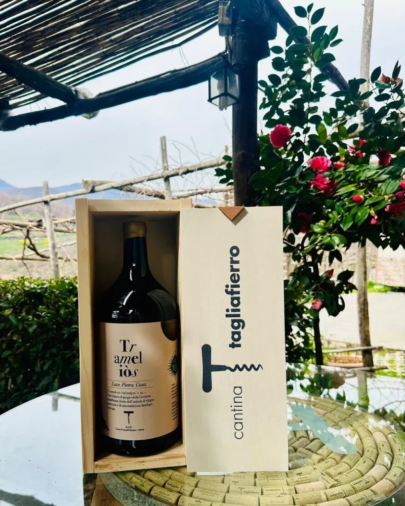 Cantina Tagliafierro