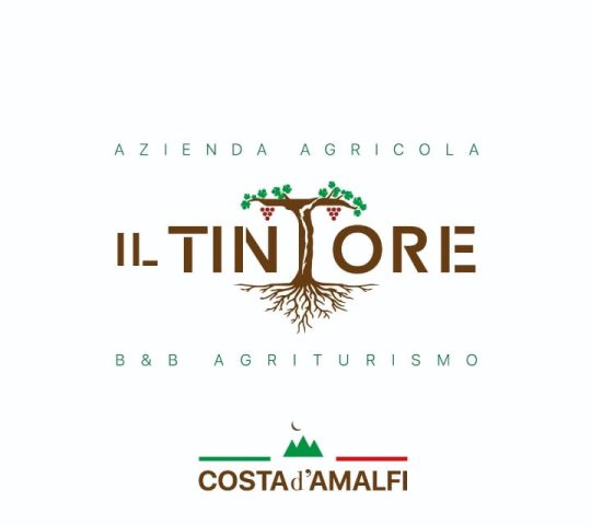 Il Tintore Il Tintore