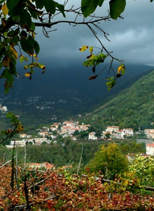 Ponte