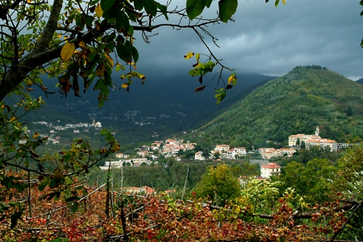 Ponte