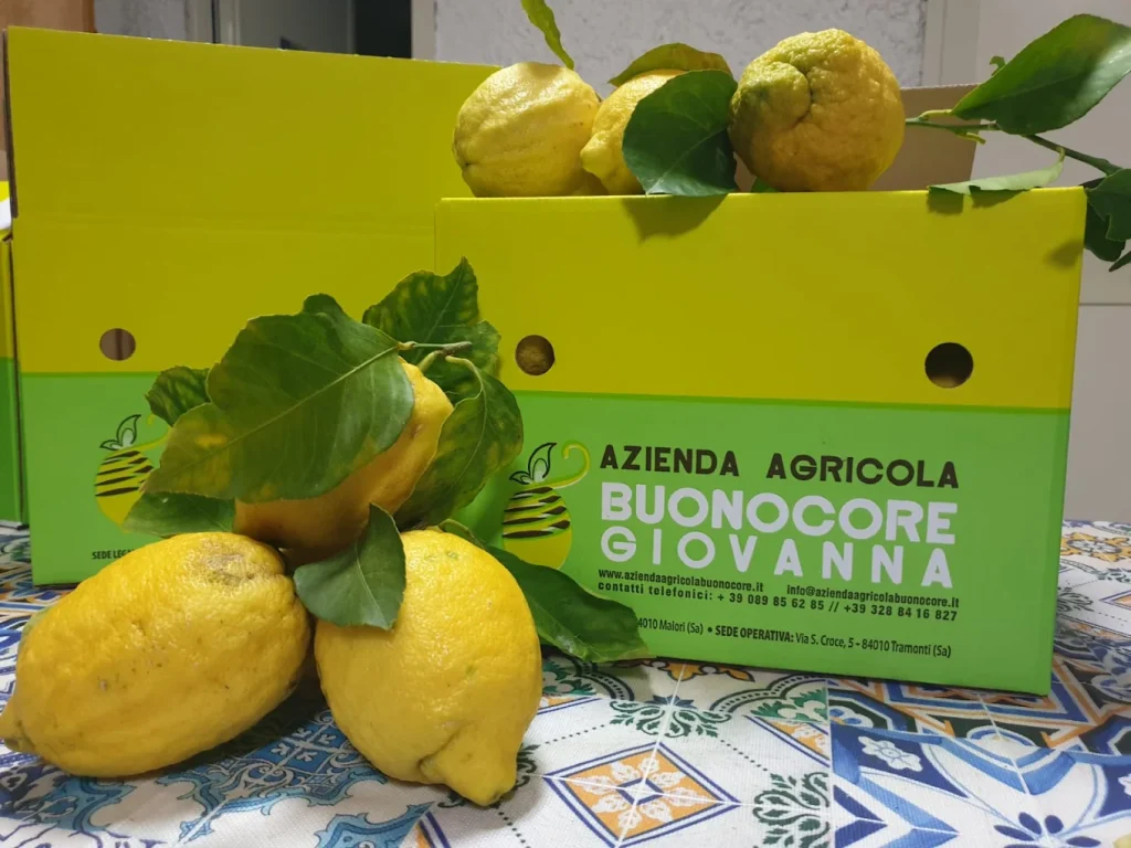 Azienda Agricola Buonocore