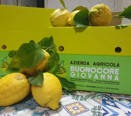Azienda Agricola Buonocore Azienda Agricola Buonocore