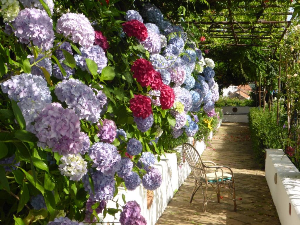 Giardino Segreto dell'Anima, Campinola (Tramonti)