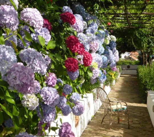 Giardino Segreto dell’Anima Giardino Segreto dell’Anima